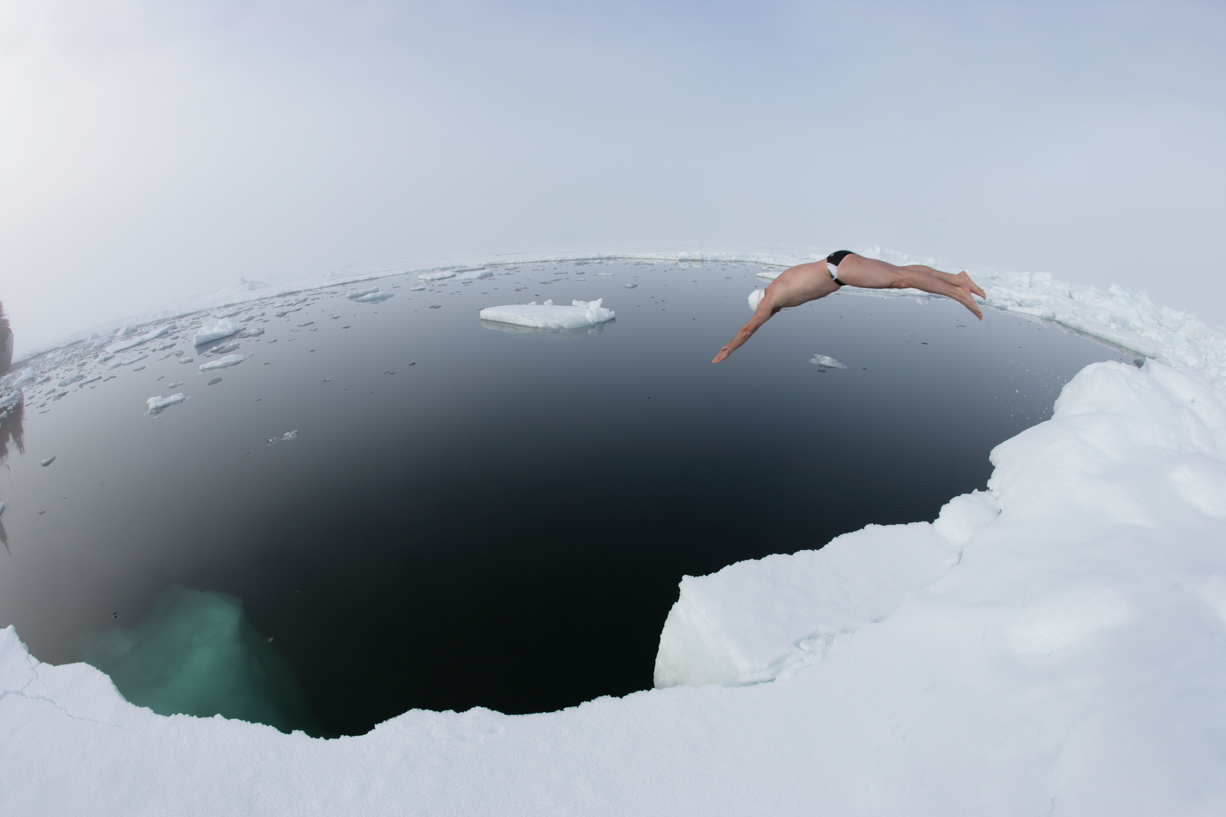 Lewis Pugh dives into the Arctic Ocean