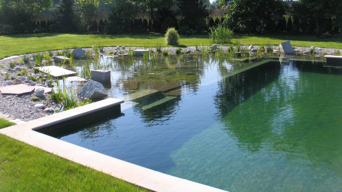 Eau Naturel: Why You Should Consider A Natural Swimming Pool