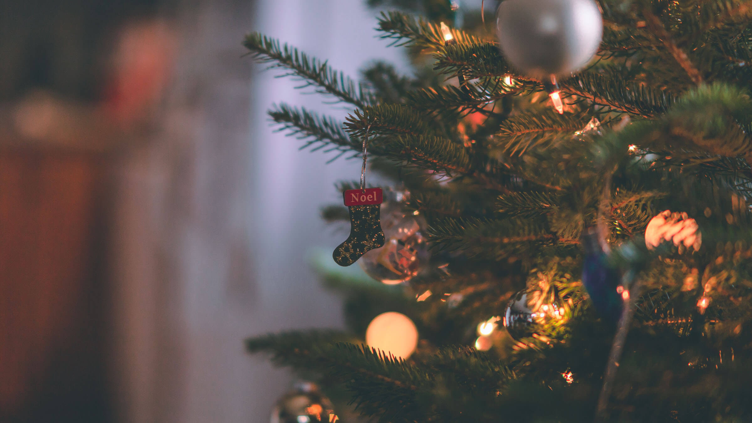 Quiz What Kind Of Christmas Tree Should You Get